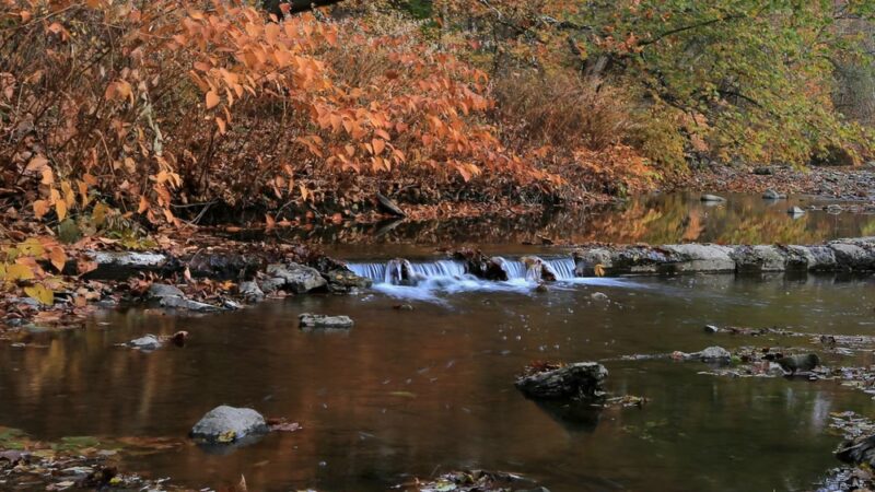 Penn Hills Community Park - Verona, PA