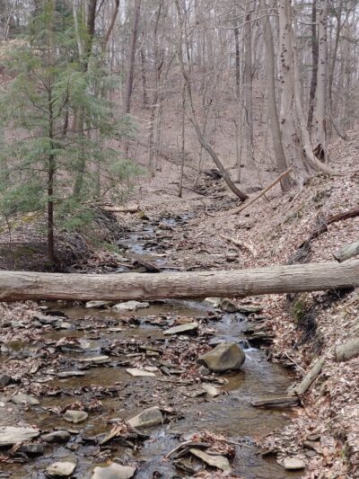 Penn Hills Community Park - Verona, PA
