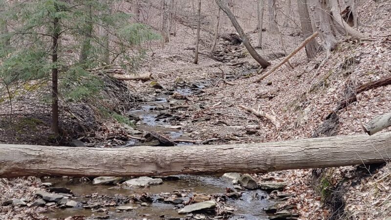 Penn Hills Community Park - Verona, PA