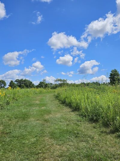 Badger Prairie County Park - Verona, WI