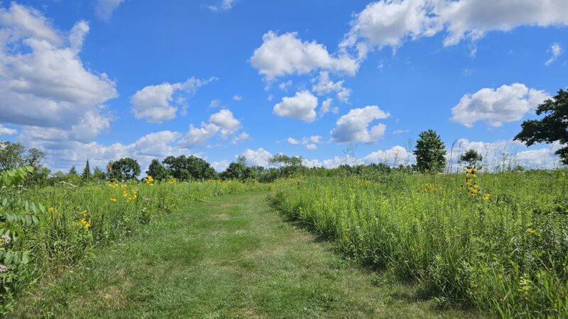 Badger Prairie County Park - Verona, WI