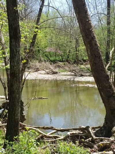 Versailles State Park - Versailles, IN