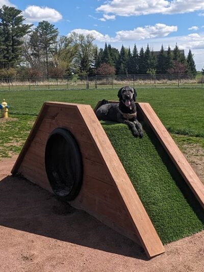 Vesper Public Dog Park - Vesper, WI