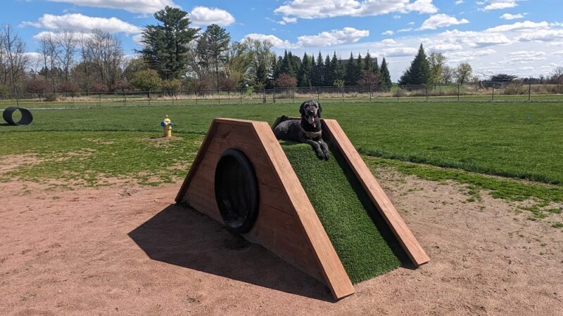 Vesper Public Dog Park - Vesper, WI