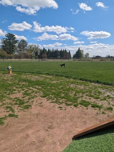 Vesper Public Dog Park - Vesper, WI