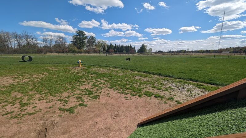 Vesper Public Dog Park - Vesper, WI