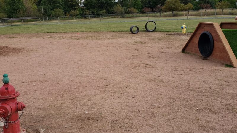 Vesper Public Dog Park - Vesper, WI