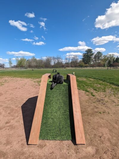 Vesper Public Dog Park - Vesper, WI