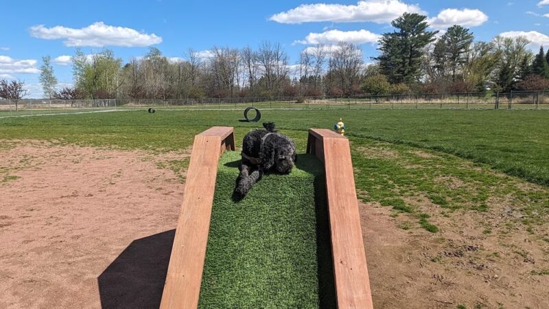 Vesper Public Dog Park - Vesper, WI