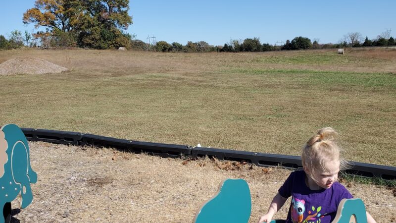 Armstrong Park - Vian, OK