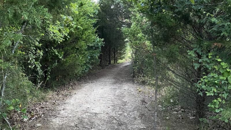 Armstrong Park - Vian, OK