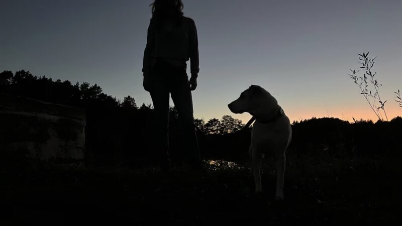 Boughton Park - Victor, NY