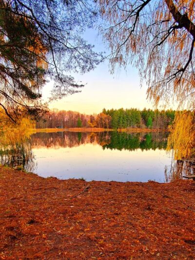 Boughton Park - Victor, NY