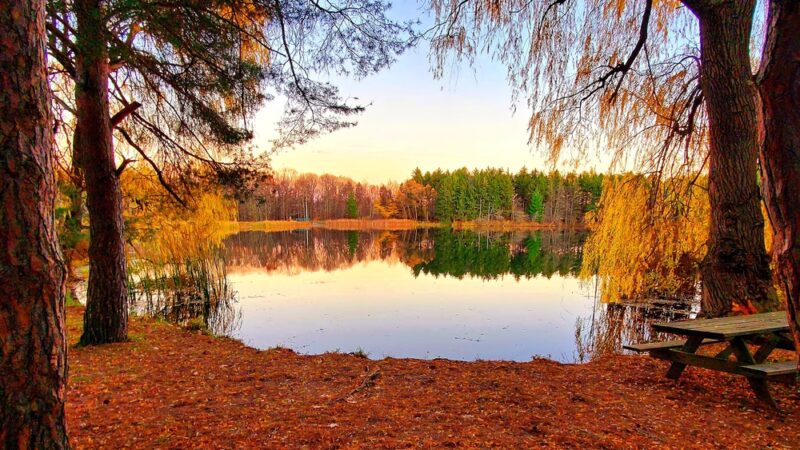 Boughton Park - Victor, NY