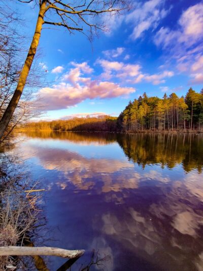 Boughton Park - Victor, NY