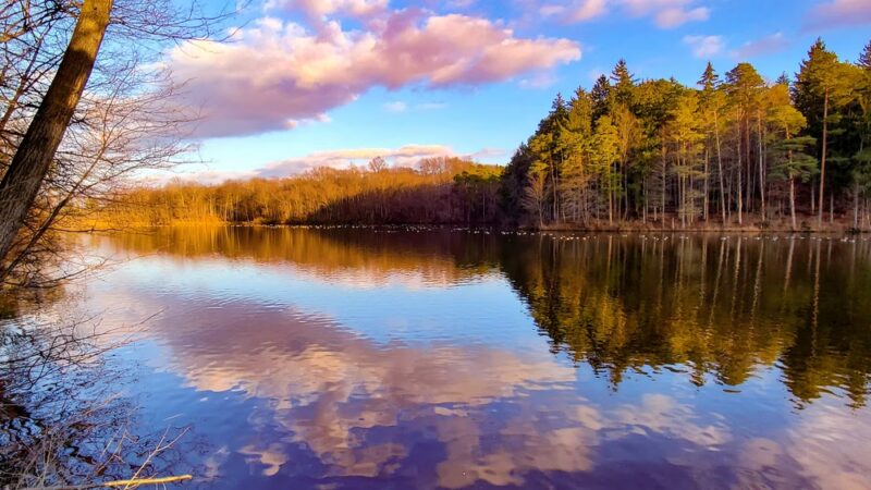 Boughton Park - Victor, NY