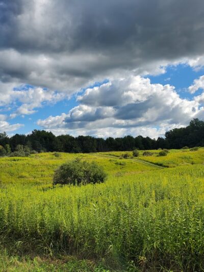 Fishers Park - Victor, NY