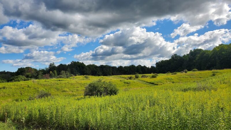 Fishers Park - Victor, NY