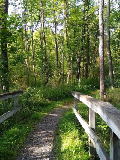 Fishers Park - Victor, NY