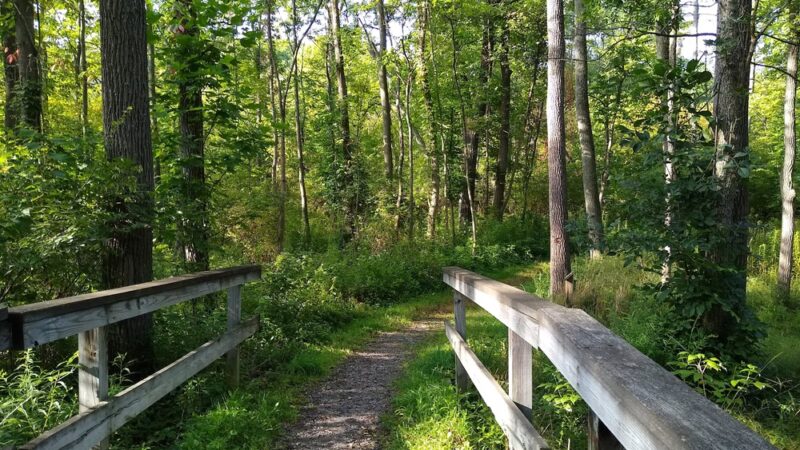 Fishers Park - Victor, NY