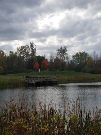 Victor Municipal Park - Victor, NY