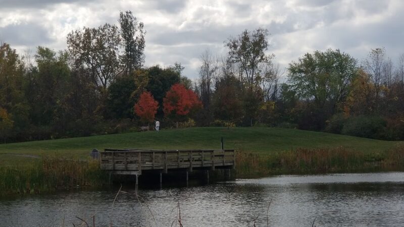 Victor Municipal Park - Victor, NY