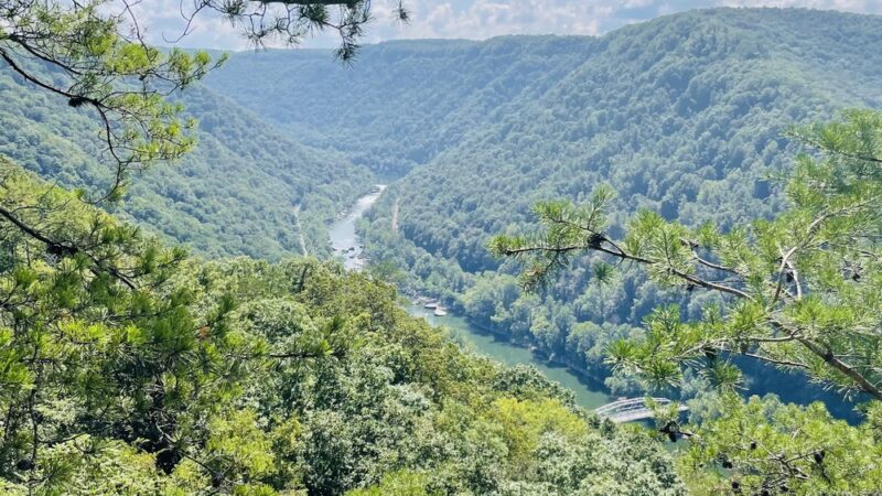 Bridge Buttress Trail - Victor, WV
