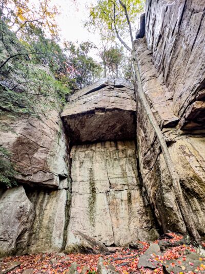 Bridge Buttress Trail - Victor, WV