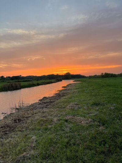 Snakeden Hollow - State Fish & Wildlife Area - Victoria, IL