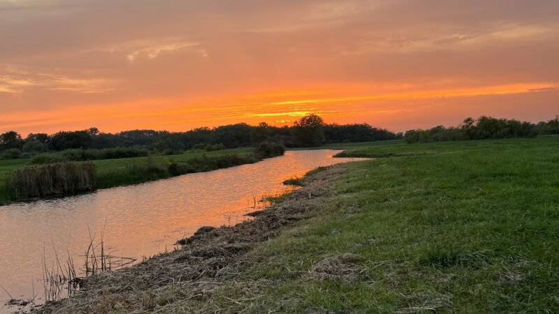 Snakeden Hollow - State Fish & Wildlife Area - Victoria, IL