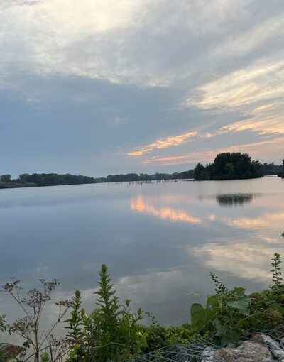 Snakeden Hollow - State Fish & Wildlife Area - Victoria, IL