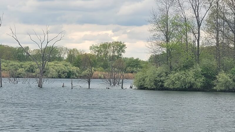 Snakeden Hollow - State Fish & Wildlife Area - Victoria, IL