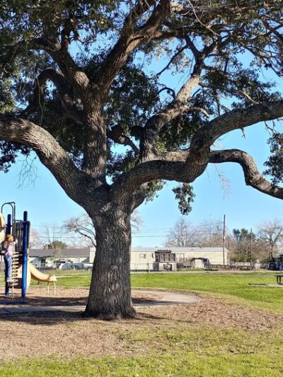 Brownson Park - Victoria, TX