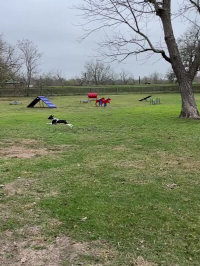 Riverside Dog Park - Victoria, TX
