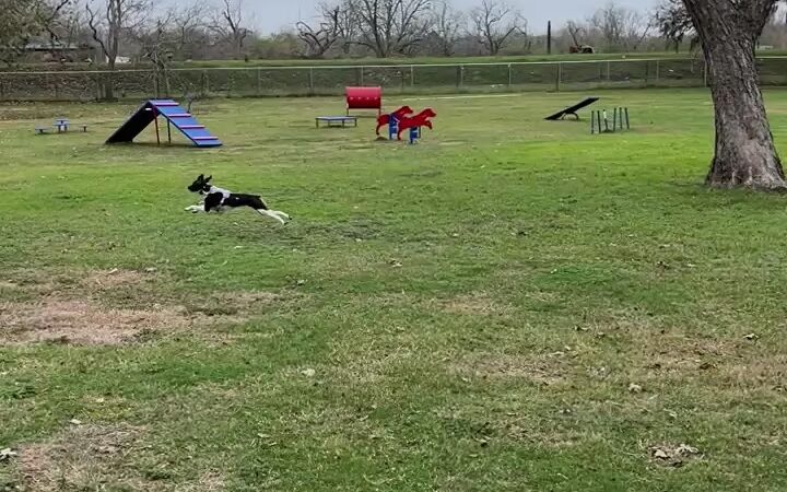 Riverside Dog Park - Victoria, TX