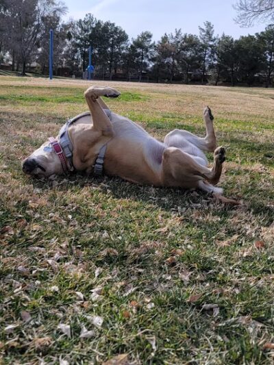 Doris Davies Park - Victorville, CA