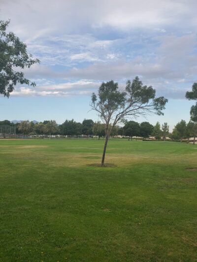 Eagle Ranch Park - Victorville, CA