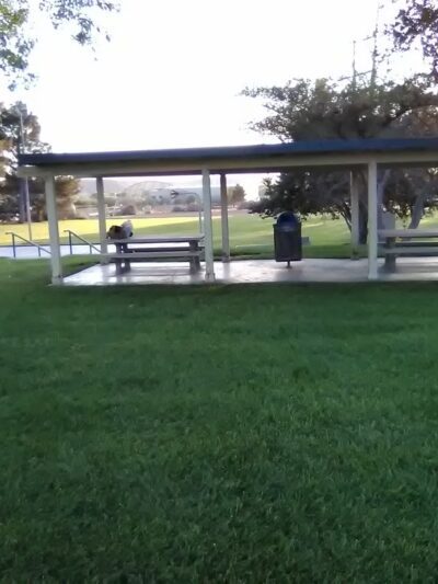 Favorite Lonely Park - Victorville, CA