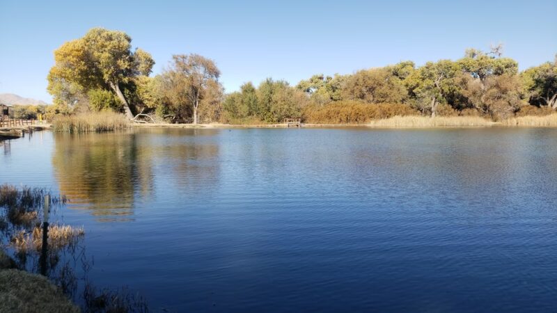 Mojave Narrows Regional Park - Victorville, CA