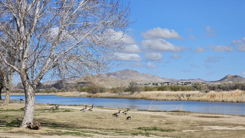 Mojave Narrows Regional Park - Victorville, CA