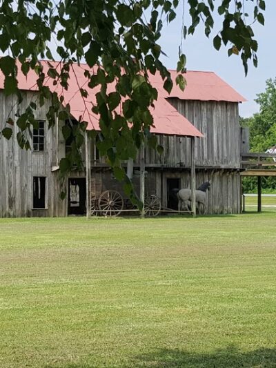 Bayou Cocodrie National Wildlife Refuge - Vidalia, LA