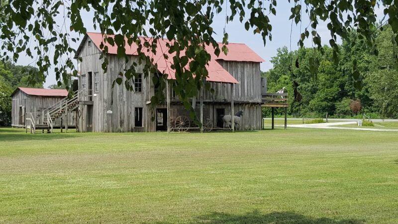 Bayou Cocodrie National Wildlife Refuge - Vidalia, LA