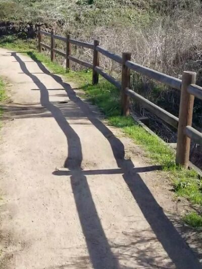 Reuben Ingold Park - View Park, CA