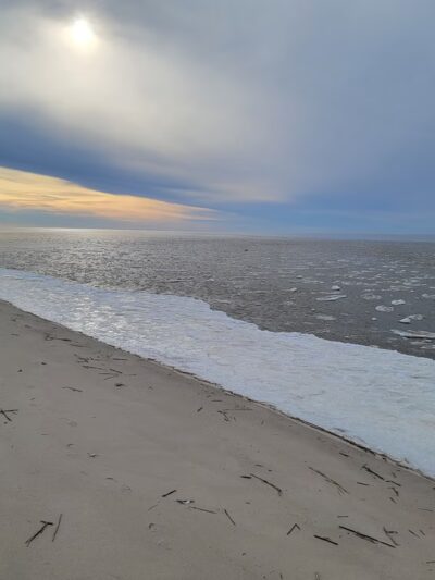 Cape May County Park South - Villas, NJ