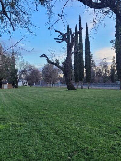 Vina Community Park - Vina, CA