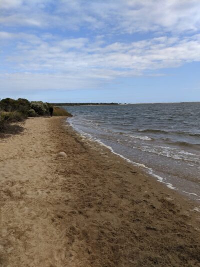 Hiking trail - Vineyard Haven, MA