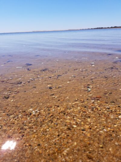 Hiking trail - Vineyard Haven, MA