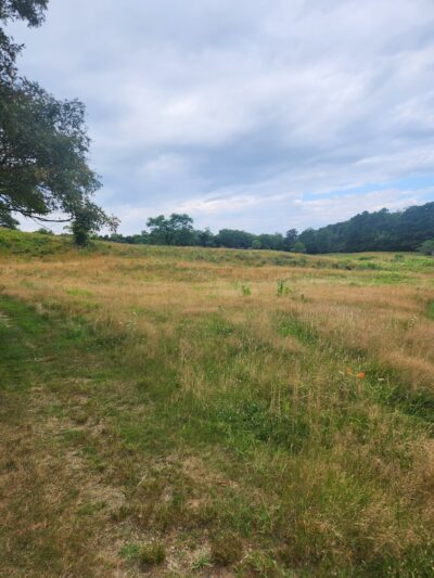 Tisbury Meadow Preserve - Vineyard Haven, MA