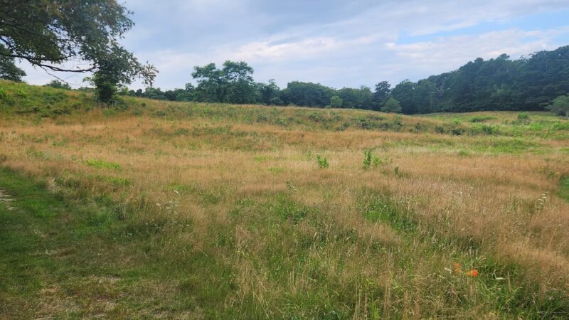 Tisbury Meadow Preserve - Vineyard Haven, MA