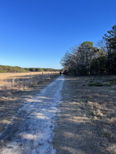 Trade Winds Field Trailhead - Vineyard Haven, MA